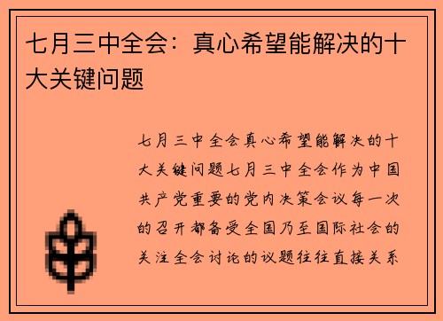 七月三中全会：真心希望能解决的十大关键问题