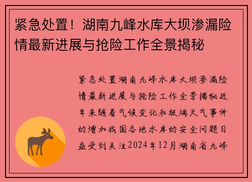 紧急处置！湖南九峰水库大坝渗漏险情最新进展与抢险工作全景揭秘