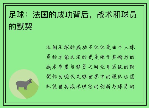 足球：法国的成功背后，战术和球员的默契