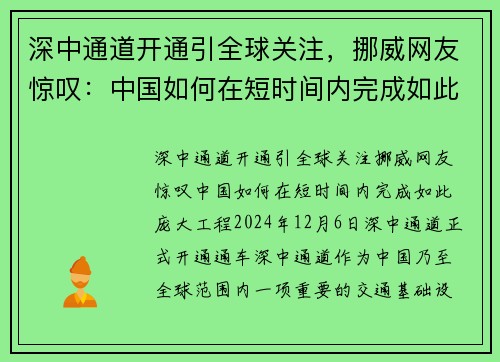 深中通道开通引全球关注，挪威网友惊叹：中国如何在短时间内完成如此庞大工程？