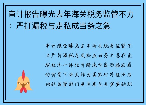 审计报告曝光去年海关税务监管不力：严打漏税与走私成当务之急