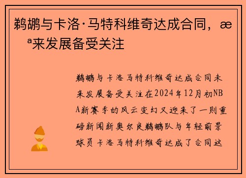 鹈鹕与卡洛·马特科维奇达成合同，未来发展备受关注